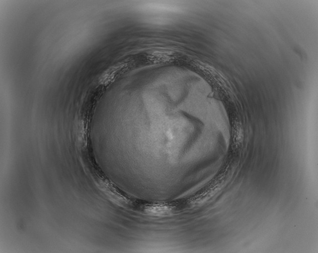 X0000112100759200908251149