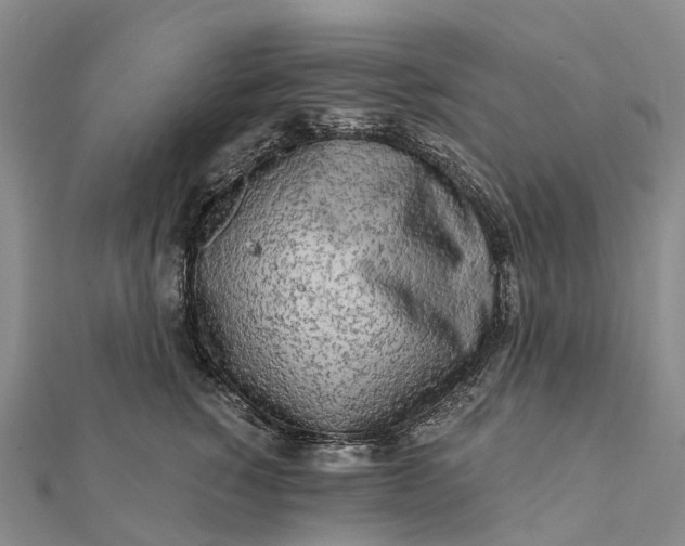 X0000112100760200908251149