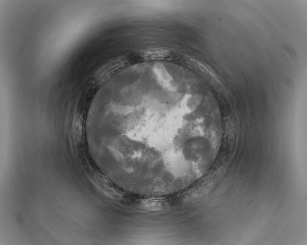 X0000112100761200908251149