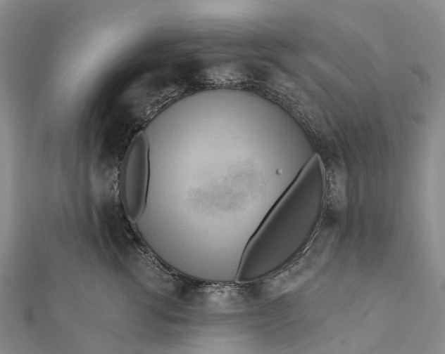 X0000112100762200908251149