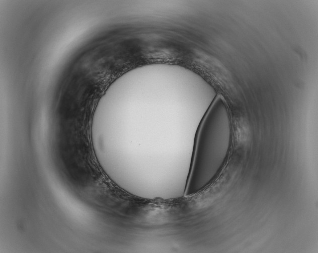 X0000112100764200908251149