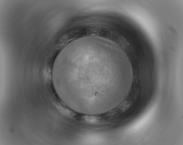 X0000112100766200908251149