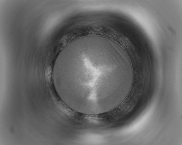 X0000112100767200908251149