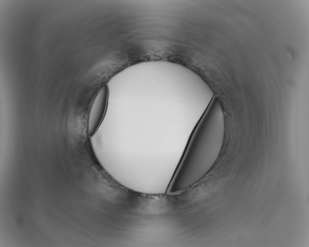 X0000112100768200908251149