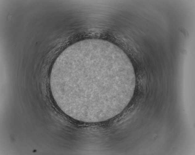 X0000112100769200908251149