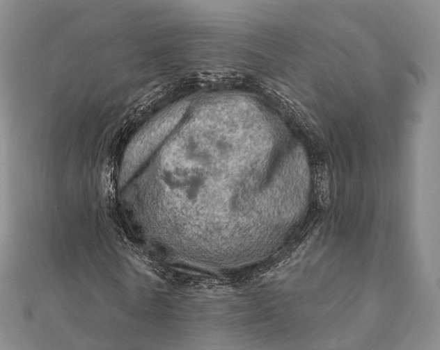 X0000112100770200908251149