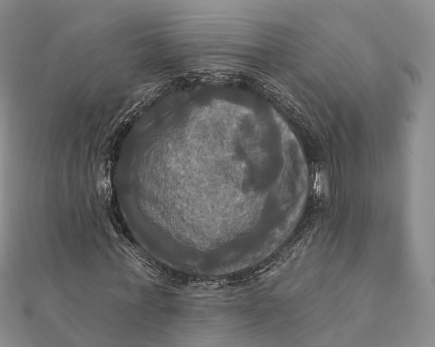 X0000112100771200908251149