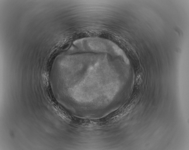 X0000112100772200908251149