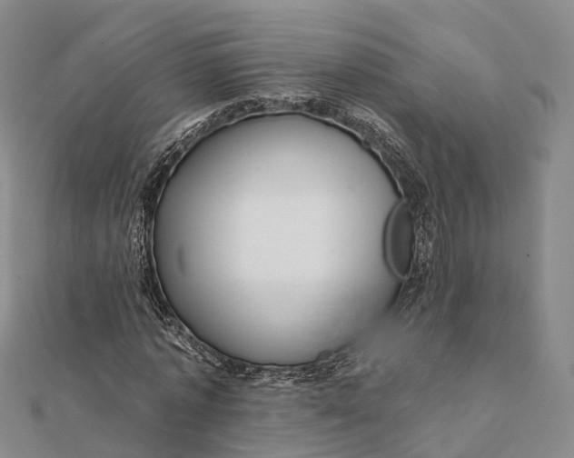 X0000112100773200908251149