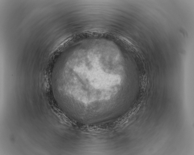 X0000112100774200908251149