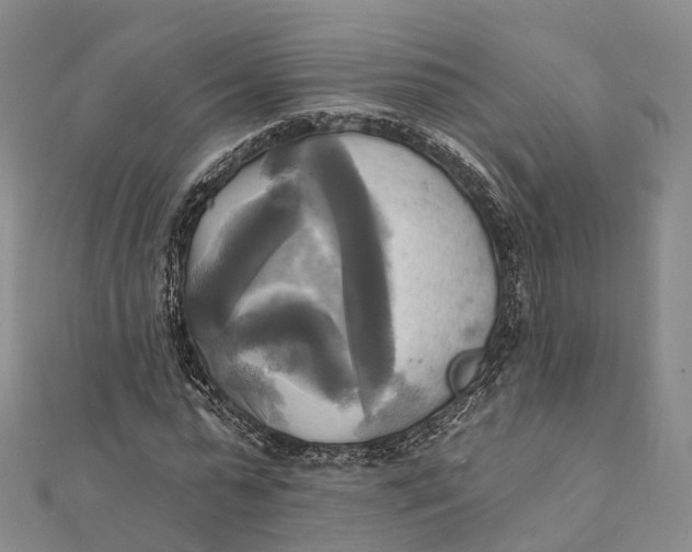 X0000112100775200908251149