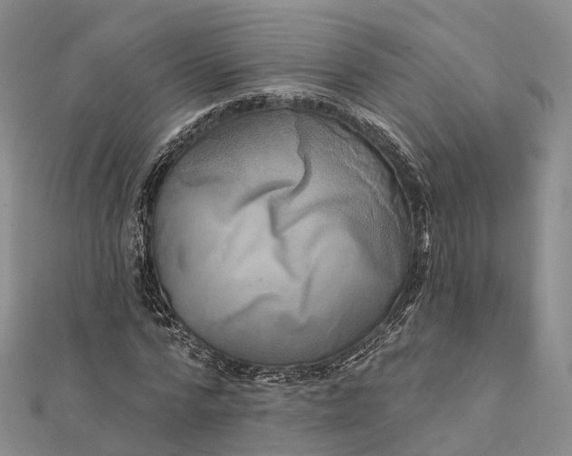 X0000112100776200908251149