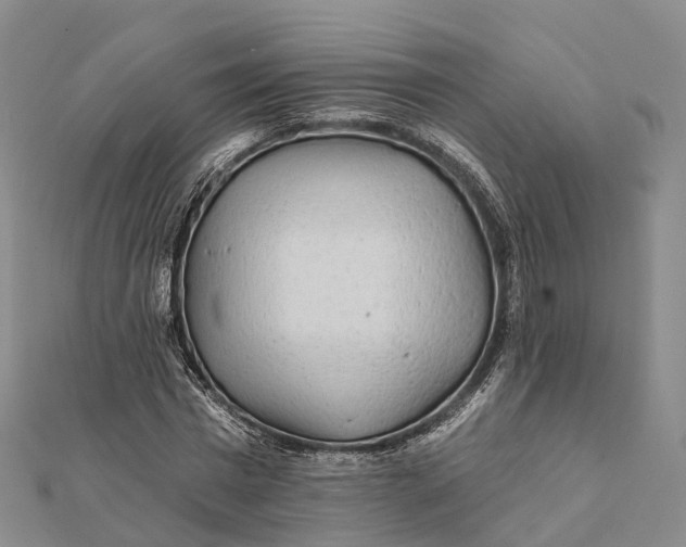 X0000112100777200908251149