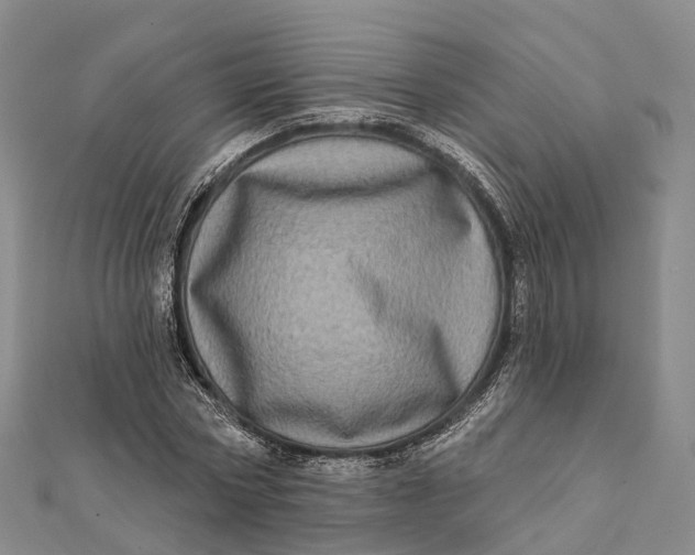 X0000112100778200908251149