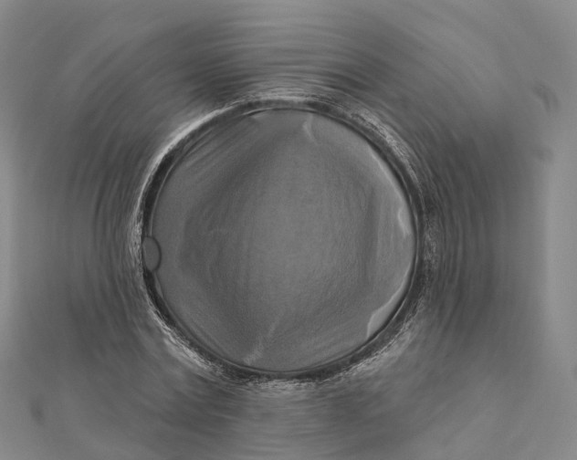 X0000112100779200908251149