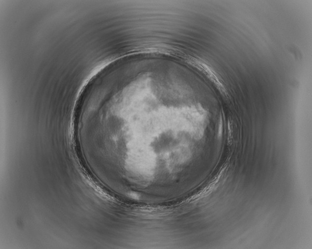 X0000112100780200908251149