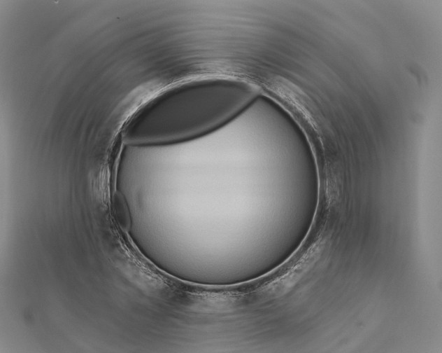 X0000112100781200908251149