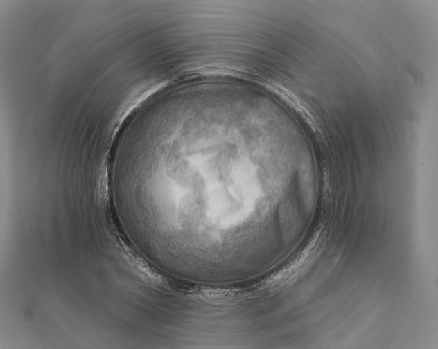 X0000112100782200908251148