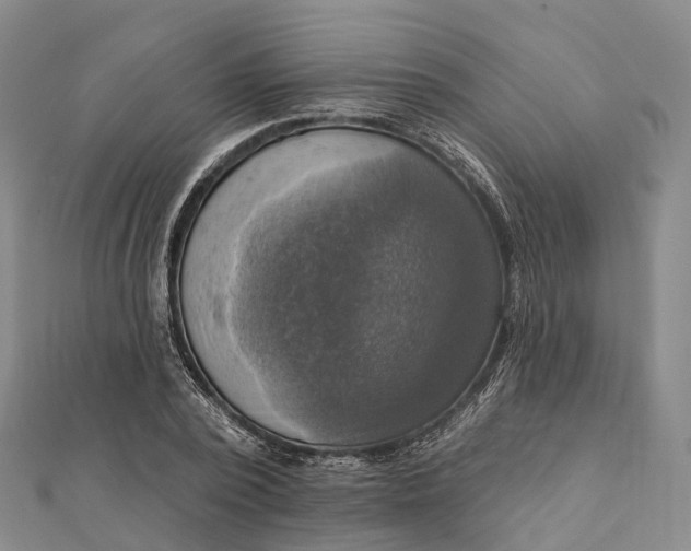 X0000112100784200908251148