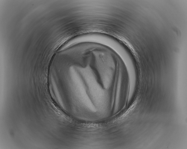 X0000112100785200908251148