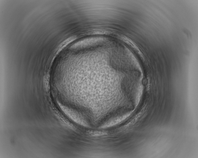 X0000112100786200908251148