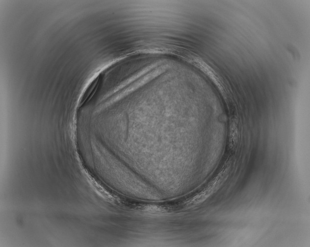 X0000112100787200908251148