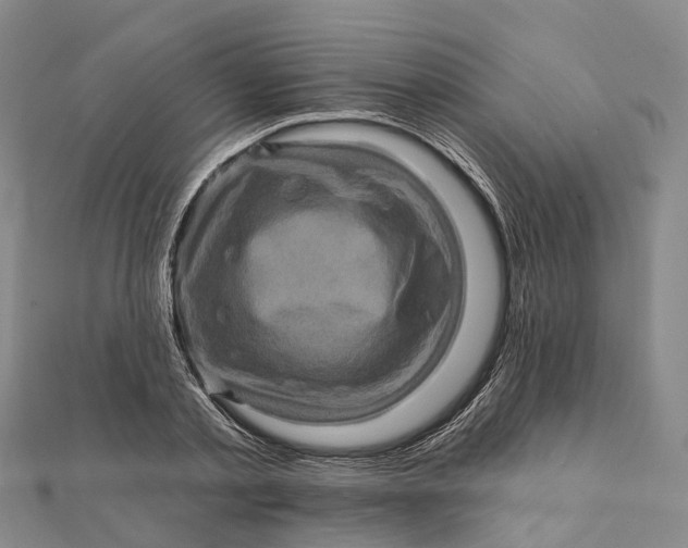 X0000112100789200908251148