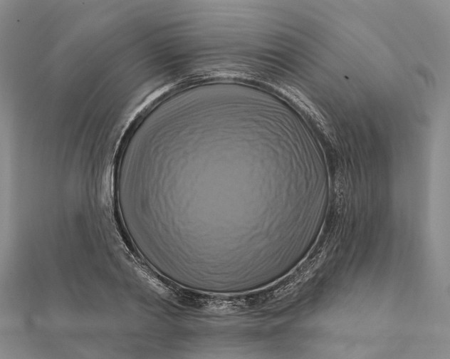 X0000112100790200908251148