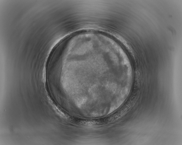 X0000112100791200908251148