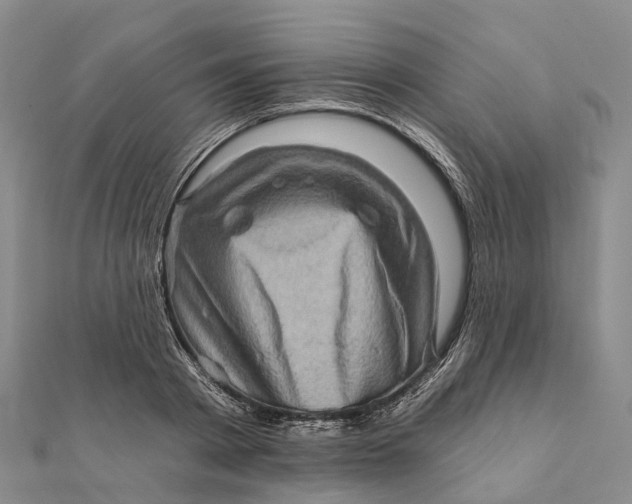 X0000112100793200908251148