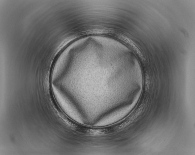 X0000112100794200908251148