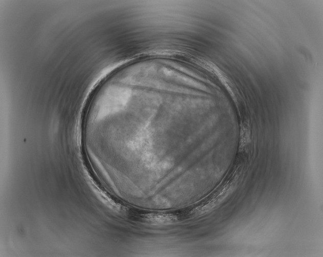 X0000112100795200908251148