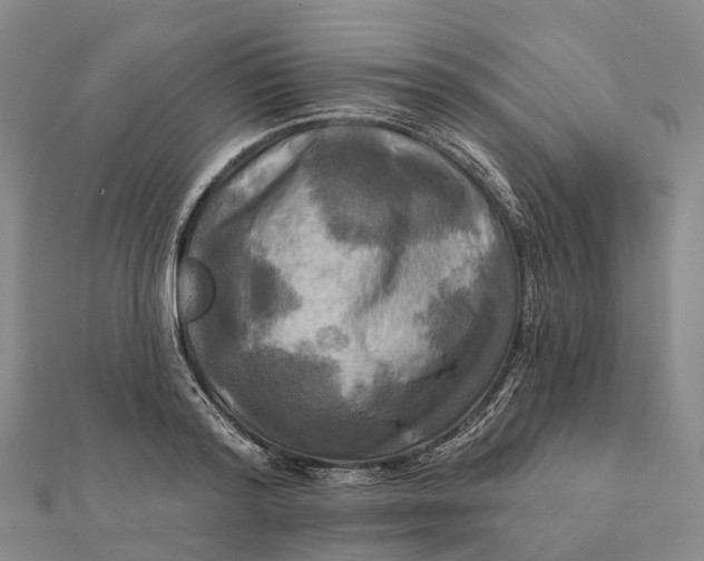 X0000112100796200908251148