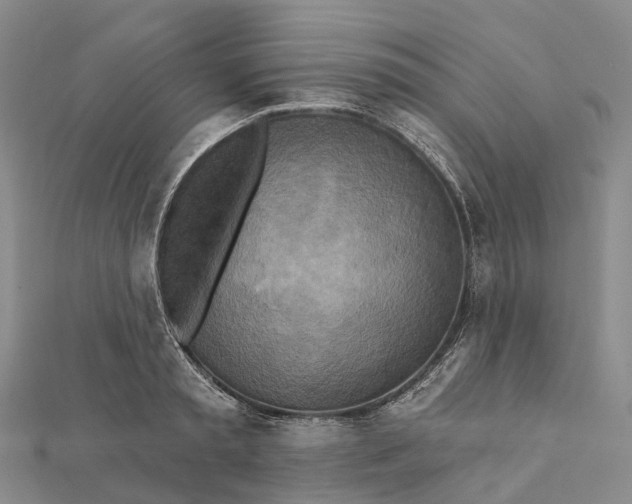 X0000112100797200908251148