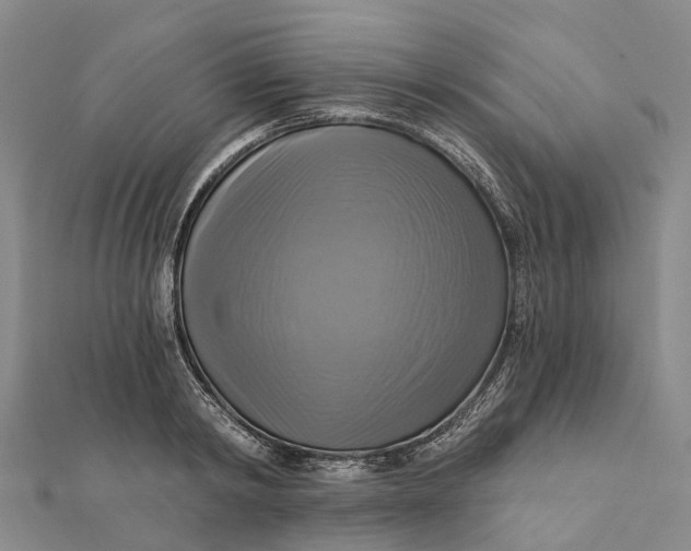 X0000112100798200908251148