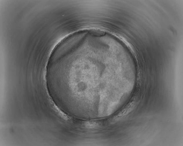 X0000112100799200908251148