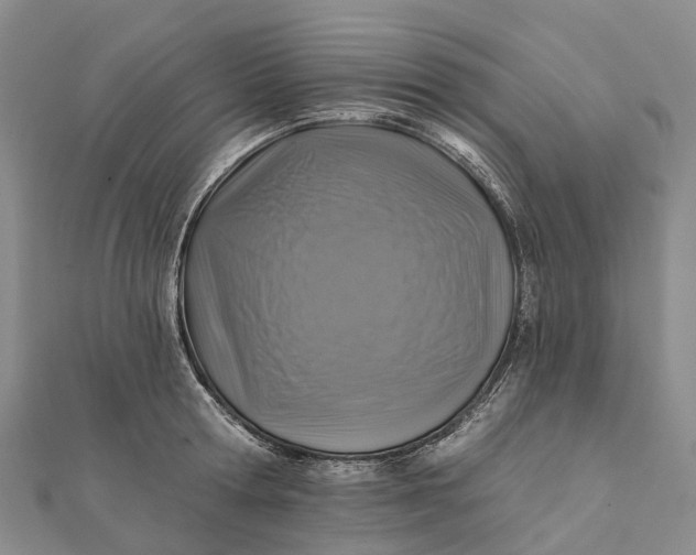 X0000112100802200908251148