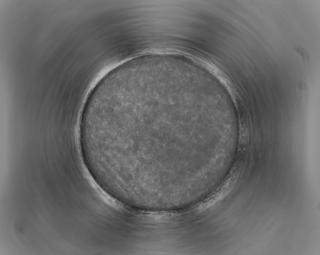 X0000112100803200908251148