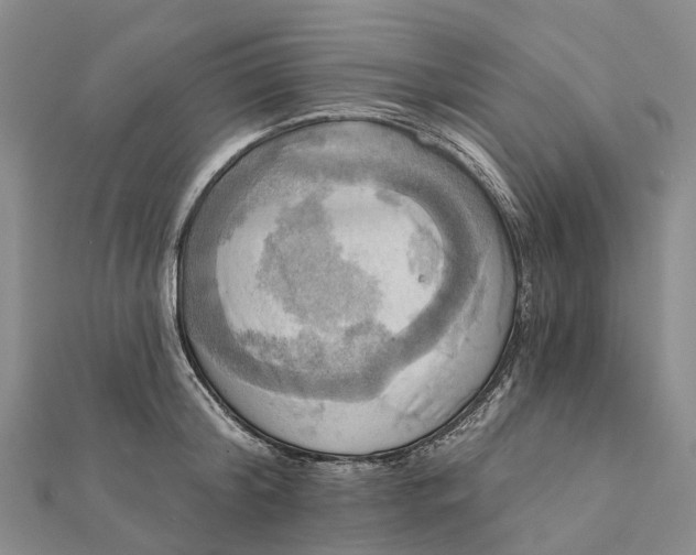 X0000112100804200908251148