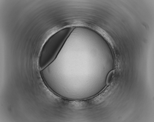 X0000112100805200908251148