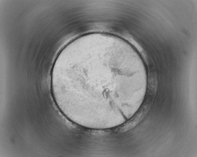 X0000112100807200908251148