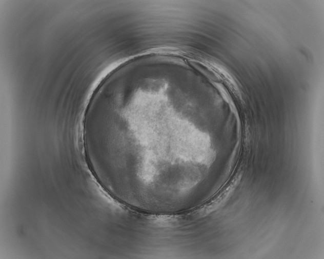 X0000112100808200908251148