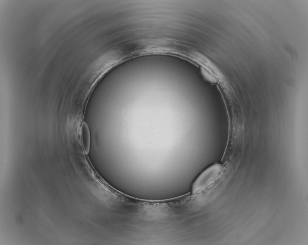 X0000112100809200908251148