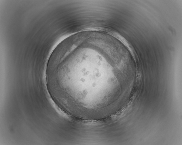 X0000112100811200908251148