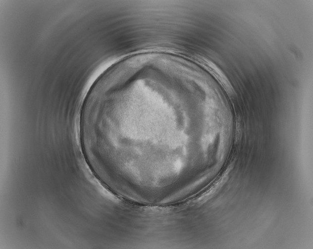 X0000112100812200908251148