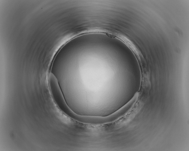 X0000112100813200908251148