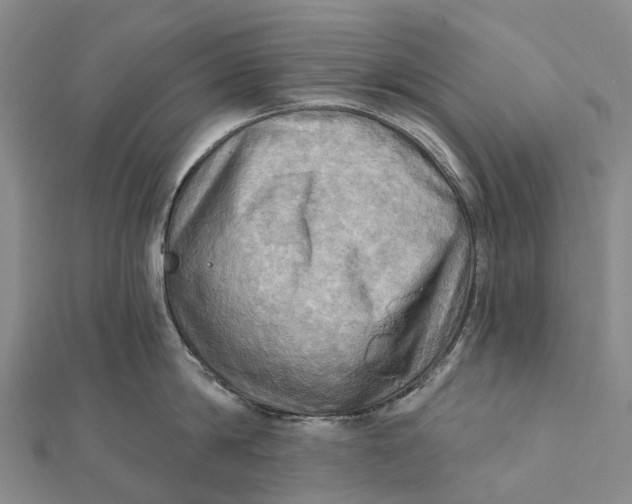 X0000112100814200908251148