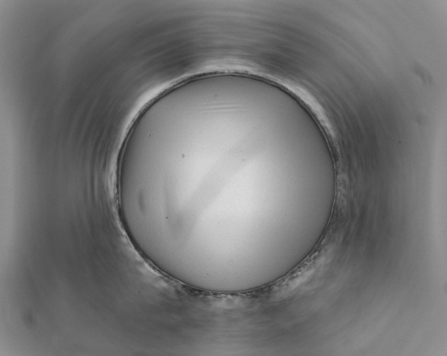 X0000112100815200908251148