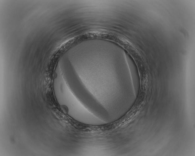 X0000112100822200908251147