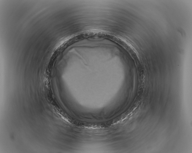 X0000112100823200908251147